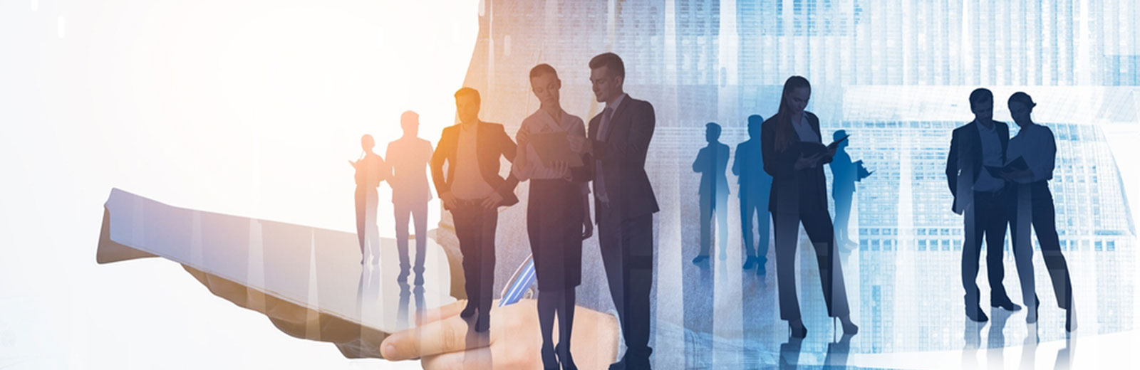 Silhouettes,Of,Diverse,Working,Business,People,Who,Are,Looking,For