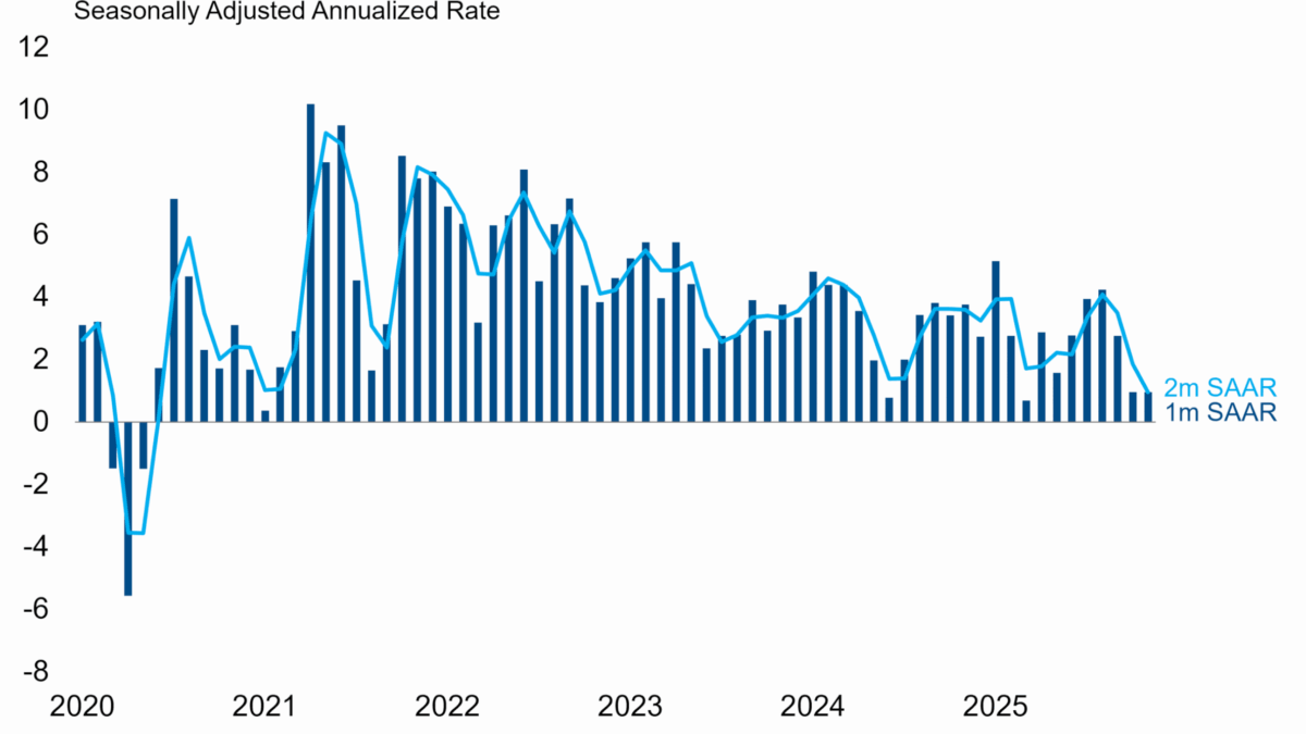 Heavily Distorted CPI Print Reveals Little Useful Information