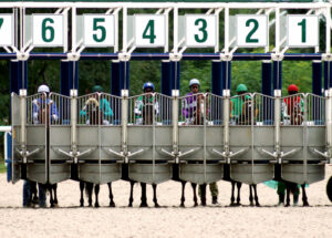 Stuck in the Starting Gate: 20y Treasury Futures Update